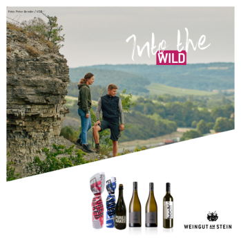 INTO THE WILD