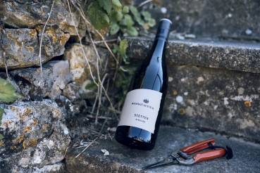 2023 Stetten Riesling trocken  -Bio-