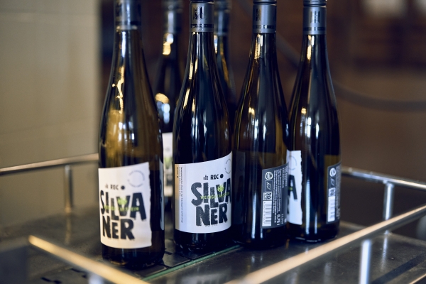 2023 Silvaner VDP.GUTSWEIN -Bio-