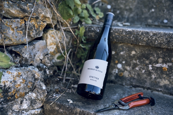 2023 Stetten Riesling trocken  -Bio-