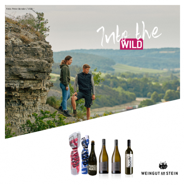 INTO THE WILD