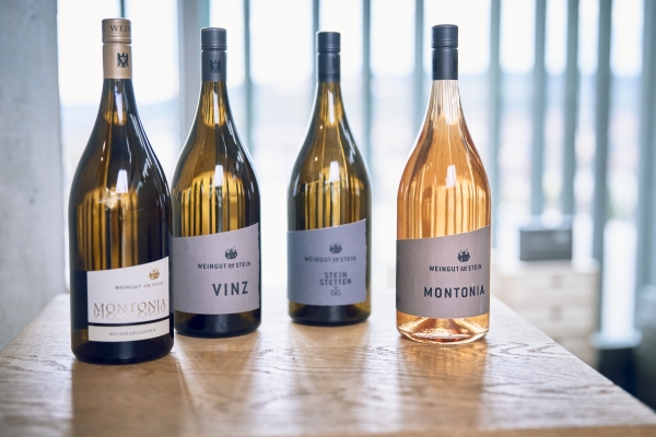 2022 VINZ Fumé trocken 1,5 L -Bio-